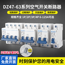 空氣開關(guān)斷路器兩相電220VC45DZ471P2P3P4P63A短路過載保護器家用