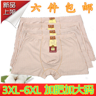 條紋四角肥佬短褲 加大加肥中老年純棉內(nèi)褲 平角內(nèi)褲 天然彩棉男士