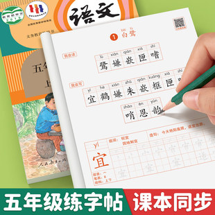 上學期練字本5上描紅 2025版 課本同步練字帖每日一練小學生五上帶筆順筆畫四升五暑假 小學語文下冊人教版 練習貼 五年級上冊字帖