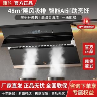 新飛油煙機家用廚房側吸式 出租屋大吸力抽油煙機家用壁掛吸油煙機