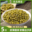 東北黑龍江綠豆農(nóng)家新貨可發(fā)芽新鮮顆粒綠豆粥綠豆糕原料當(dāng)季 豆類