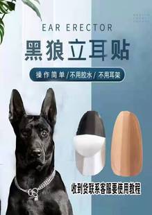 黑狼犬立耳器立耳貼不用膠水不傷耳朵