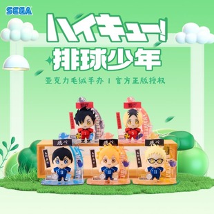 日本世嘉排球少年DIY拼裝 模型擺件掛件毛絨官周日向翔陽(yáng)立牌禮物