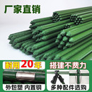 爬藤架搭四季 豆角葡萄黃瓜架花架支撐架桿鐵線蓮?fù)ピ簯敉鈽琼敺N菜