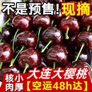 當季 現摘現發應季 水果 包郵 大連櫻桃新鮮水果車厘子現貨大櫻桃脆甜