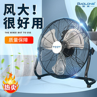 寶龍電風扇家用臺式 大風力工業風扇趴地扇工廠落地扇商用強力臺扇