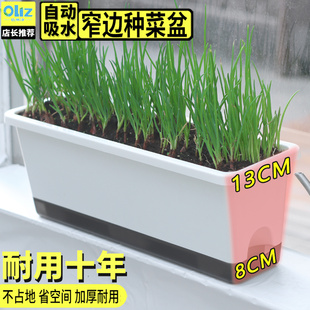 窄邊長方形花盆陽臺種菜盆長條蔬菜種植專用箱窗臺花槽懶人神器