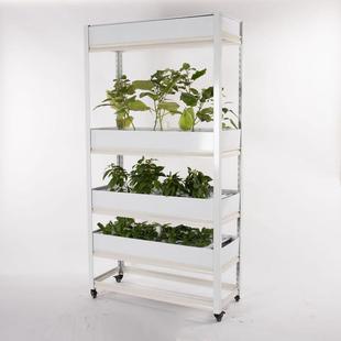 水培工廠大棚設備植物設備設備家庭種菜設備陽臺種菜設備4922