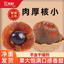 江南畔桂圓干500g莆田特產新貨龍眼干官方旗艦店桂圓肉非無核特級
