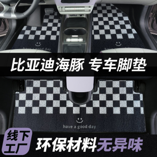 比亞迪海豚專用絲圈腳墊汽車裝 飾內飾配件卡通地墊防臟墊可愛卡通
