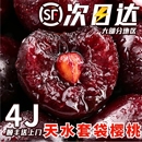 現摘甘肅天水大櫻桃新鮮水果當季 整箱孕婦國產車厘子新鮮櫻桃順豐