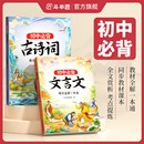 初中必背古詩詞和文言文七年級中學(xué)生教材全解一本通2025文言文完全解讀同步八九初中語文專項訓(xùn)練小古文小四門知識點 斗半匠