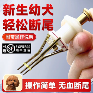 斷尾神器狗狗柯基泰迪寵物專用橡皮筋小型犬小狗幼犬斷尾皮筋