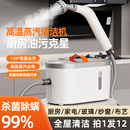 高溫高壓蒸汽清潔機家用小型廚房油煙機家電消毒空調多功能清洗機