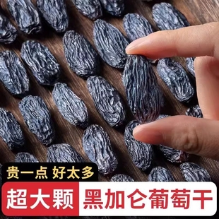 新疆吐魯番黑加侖葡萄干獨小包裝 500g黑玫瑰提子干零食超大水果
