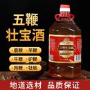 正宗五鞭壯寶酒鹿鞭酒35度養(yǎng)生配制酒男士 酒純糧食原漿酒泡