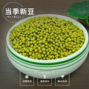 新貨東北綠豆24年農(nóng)家自產(chǎn)新鮮皮薄解暑綠豆湯粥糕發(fā)豆芽雜糧豆類