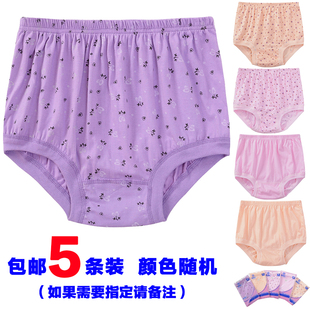女士寬松褲 中老年內褲 三角短褲 老人高腰大碼 頭全棉 女純棉媽媽內褲