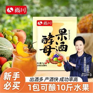 尚川果酒酵母甜酒曲專用釀酒水果酒曲西瓜葡萄桔子火龍果酒發酵粉
