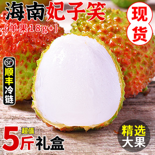 海南妃子笑荔枝5斤新鮮水果當季 現摘爆甜桂花荔枝香老樹大果整箱
