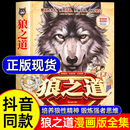 狼之道漫畫版 漫畫書兒童版 正版 狼道小學生版 培養孩子狼性精神鍛煉強者思維小學生課外閱讀書籍 書全套集 抖音同款