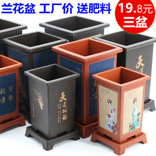 蘭花盆君子蘭專用盆仿紫砂塑料樹脂蘭花專用盆花盆家用盆景花盆
