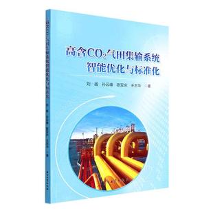 高含CO2氣田集輸系統智能優化與標準化劉揚 工業技術書籍
