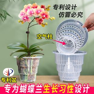美蒔蝴蝶蘭專用花盆透明透氣塑料杯水苔青山盆栽單只水培控根換盆