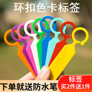環套標簽加厚塑料防水植物記號分類色卡懸掛式標記葡萄苗木花卉