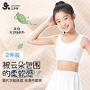小背心內(nèi)衣少女文胸2件裝 女童內(nèi)衣發(fā)育期薄款 一二階段 久歲伴