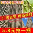 小竹桿架種菜園搭架豆角黃瓜架竹籬笆柵欄彩旗桿粗楠防腐竹竿裝 飾