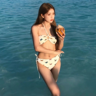 2025夏新款 掛脖小胸 性感分體泳衣女蝴蝶印花海邊度假比基尼泳裝