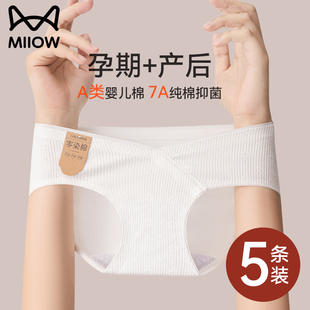 貓人孕婦內褲 低腰托腹懷孕早中晚期專用 女純棉抗菌全棉襠2025新款