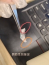 小太陽金太牡丹虎皮玄鳳和尚灰機鸚鵡鳥禽性別鑒定雙病毒檢測驗卡