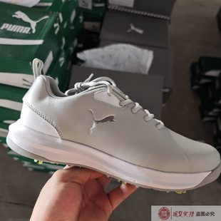 376237 高爾夫男子輕便透氣緩震運動跑步鞋 彪馬正品 PUMA