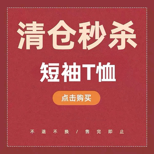 秒殺 T恤女清倉(cāng)特價(jià) 價(jià)看好再拍不退不換288 短袖 粉絲福利夏季