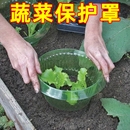 防鼻涕蟲神器檳榔樹保護罩蝸牛檔廠家直銷菜苗保護罩其它園藝用品