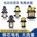 12V農(nóng)用電動噴霧器水泵隔膜泵智能高壓自吸泵大功率打藥機馬達