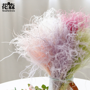 優(yōu)質(zhì)A級(jí)夢(mèng)幻草仙鳥羽永生花仙氣羽毛草保鮮花干花仙草diy裝 飾插花