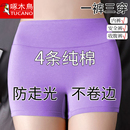 女防走光高腰收腹提臀抗菌襠打底平角褲 啄木鳥女士內褲 純棉安全褲