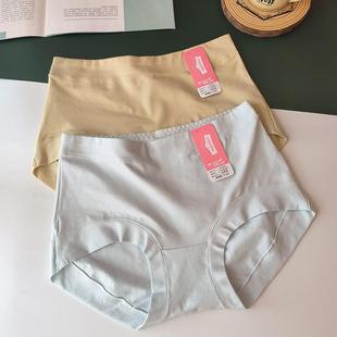 短褲 1A305中高腰純棉全棉透氣抗菌1A306包臀大碼 女 女正品 彩田內褲
