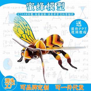 兒童昆蟲立體拼圖寶寶認知昆蟲模型手工制作拼圖新款