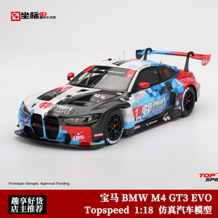 EVO 拉力賽車 寶馬BMW GT3 Topspeed 樹脂汽車模型