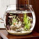 圓形魚缸塑料一體成型防摔耐摔不壞高透仿玻璃客廳小型桌面生態(tài)缸