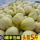 東北香瓜甜瓜新鮮現(xiàn)摘當(dāng)季 時(shí)令水果特產(chǎn)小甜瓜整箱白糖罐蜜瓜現(xiàn)摘