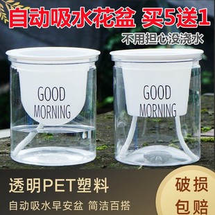 北歐塑料水培透明懶人自動(dòng)吸水早安盆綠蘿北歐簡(jiǎn)約吊蘭綠植多肉花