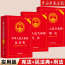 民法典刑法典憲法法律匯編司法婚姻法法律書籍法制侵權責任編 3冊套2025新中華人民共和國憲法 2025新版 刑法實用版 解釋 民法典