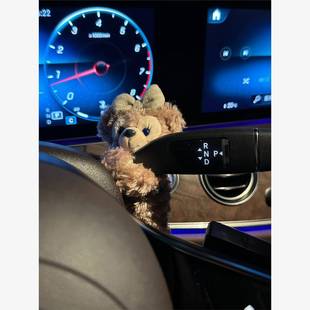 汽車懷擋裝 飾玩偶車載公仔雨刮器轉向燈車內擺件可愛中控臺雪莉玫