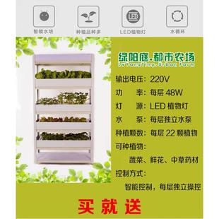 水培設備大棚設備植物工廠設備家庭種菜設備陽臺種菜設備4922