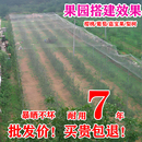 防鳥網(wǎng)果樹果園大棚尼龍線防烏網(wǎng)陽臺櫻桃樹葡萄窗戶魚塘用 天網(wǎng)